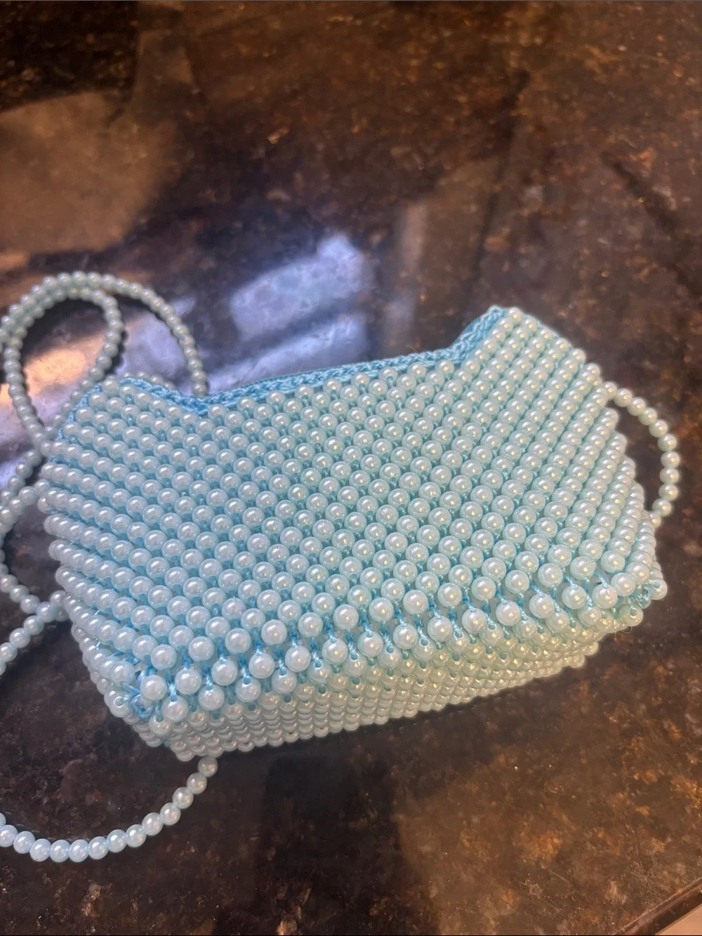 Hand Crafted Light Blue Beaded Purse with Orange & Red Dog Motif